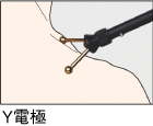 Y電極