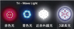 ダイナトロン　ソラリスプラスのトリウェーブライトプローブ