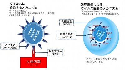 ウイルスウォッシャー・プロ説明6