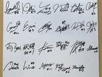 コカコーラ レッドスパークス