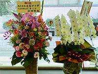 ギャラリー写真