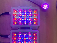 ギャラリー写真