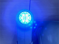 ギャラリー写真